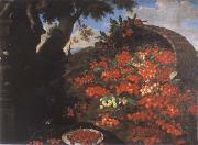 Bartolomeo Bimbi Cherries oil painting reproduction